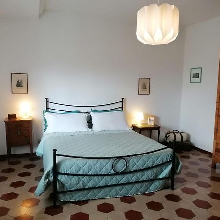 Residenza Le Ortensie 托迪 外观 照片