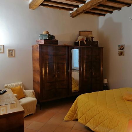 Residenza Le Ortensie 托迪 外观 照片